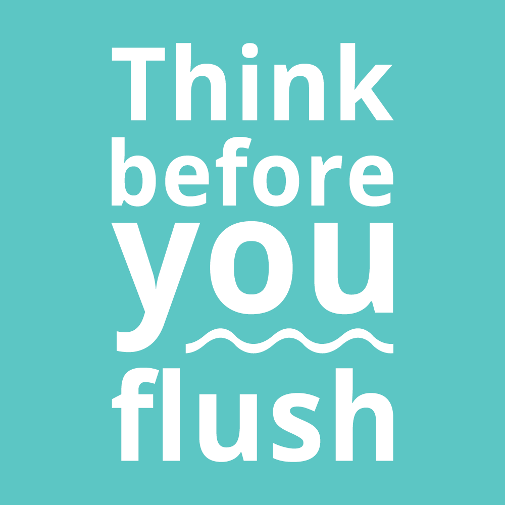 Think Before You Flush