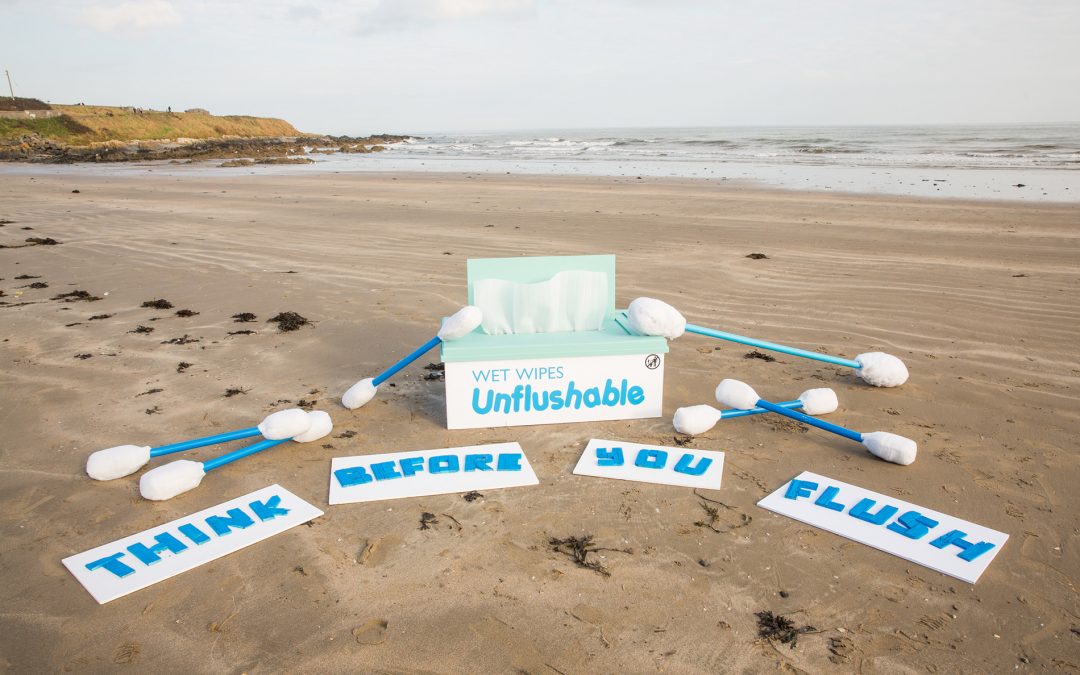 Clean Coasts and Irish Water are asking you to Think Before You Flush on World Toilet Day
