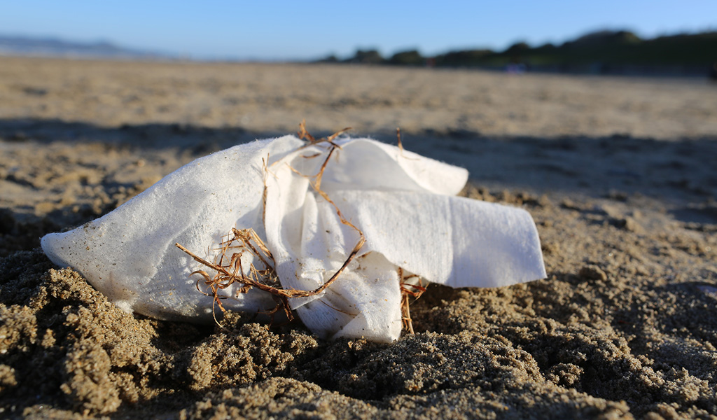 Clean Coasts and Irish Water are raising awareness about the impact of flushing beauty items at the RDS Future Beauty Show this weekend 