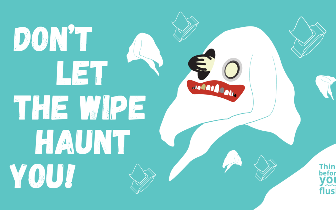 This Halloween Clean Coasts and Irish Water remind you to never flush wet wipes down the toilet as they might come back to haunt you!