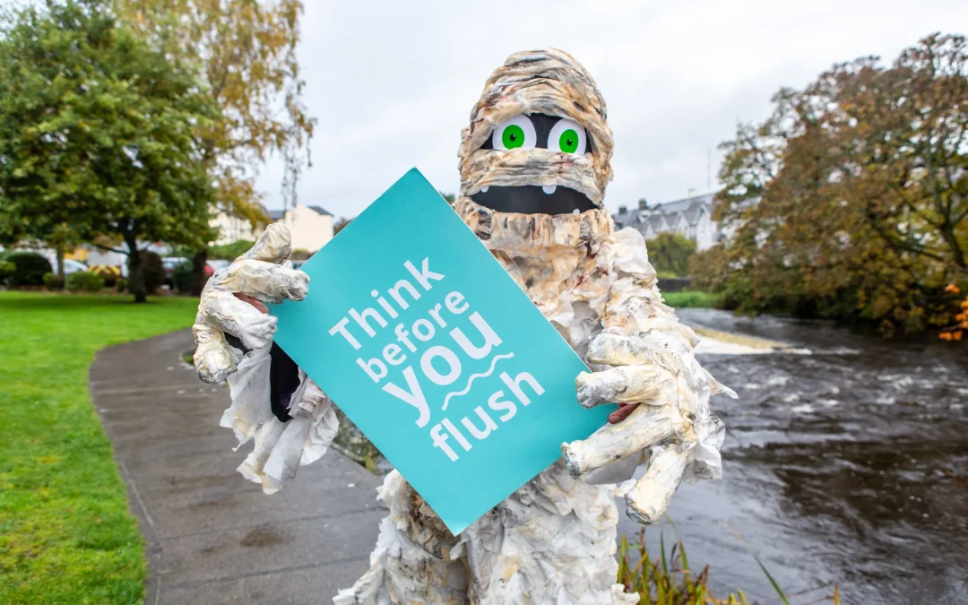 Dublin Communities Encouraged to Think Before You Flush