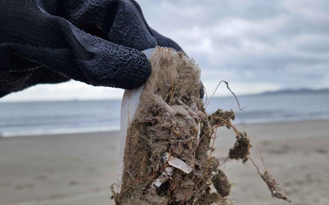 Newbridge College says No to Sewage-Related Litter