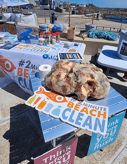 Think Before You Flush and Pour at Tomhaggard Coastal Connections Festival